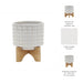 ceramic-5-dotted-planter-w-wood-stand-ivory-9
