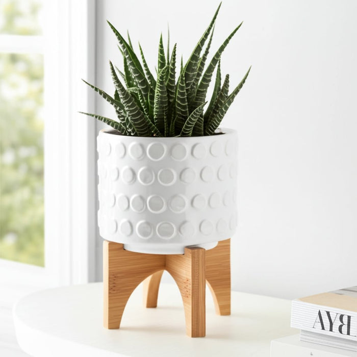 ceramic-5-planter-on-wooden-stand-white-11