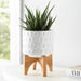 ceramic-5-planter-on-wooden-stand-white-11