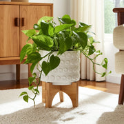 ceramic-5-planter-on-wooden-stand-white-12