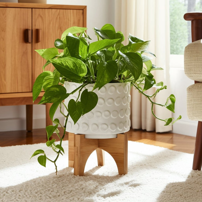 ceramic-5-planter-on-wooden-stand-white-12