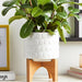 ceramic-5-planter-on-wooden-stand-white-14