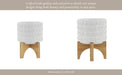 ceramic-5-planter-on-wooden-stand-white-15