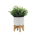 ceramic-5-planter-on-wooden-stand-white-3