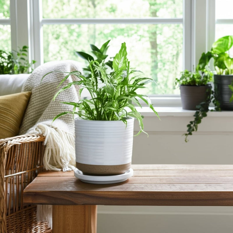 ceramic-5-planter-w-saucer-white-10
