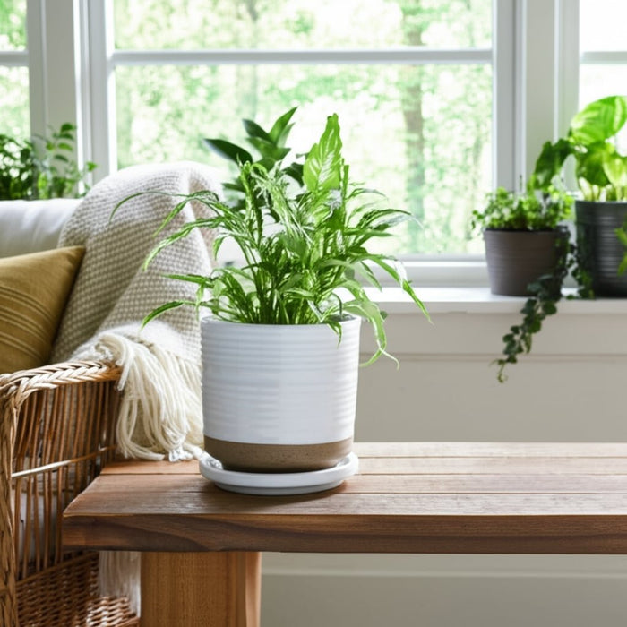 ceramic-5-planter-w-saucer-white-10