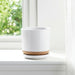 ceramic-5-planter-w-saucer-white-11