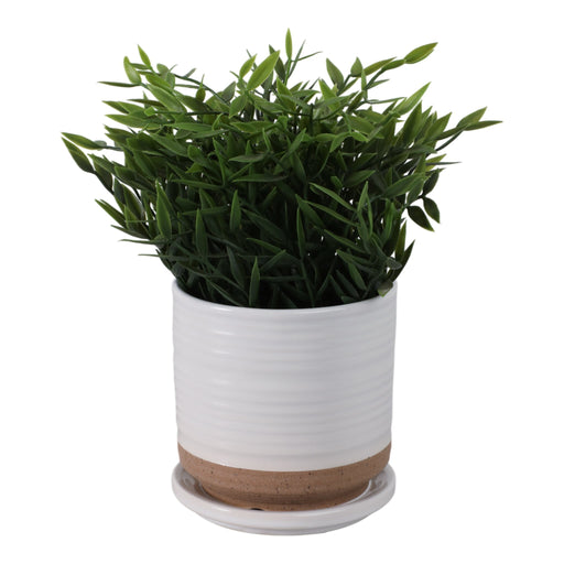 ceramic-5-planter-w-saucer-white-2