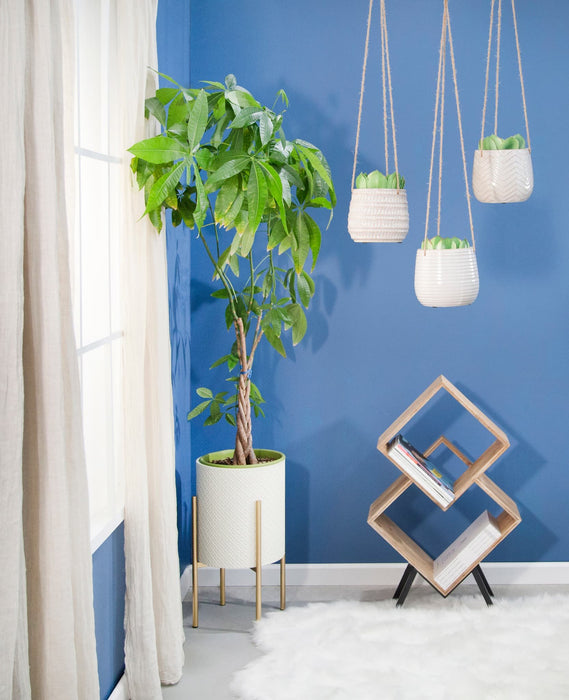 ceramic-6-dimpled-hanging-planter-beige-11