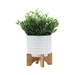 ceramic-6-planter-on-stand-white-stripe-3