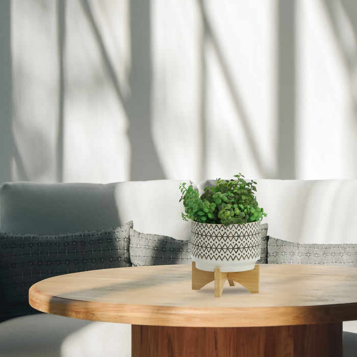 ceramic-7-abstract-planter-on-stand-ivory-10