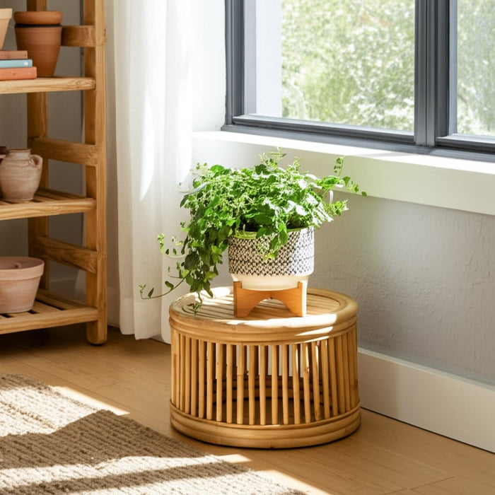ceramic-7-abstract-planter-on-stand-ivory-11