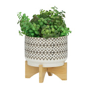 ceramic-7-abstract-planter-on-stand-ivory-4