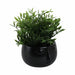 ceramic-7-face-planter-matte-black-2
