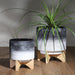 ceramic-8-planter-on-wooden-stand-gray-12