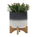 ceramic-8-planter-on-wooden-stand-gray-3