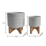 ceramic-s-2-5-8-planter-on-wooden-stand-white-4