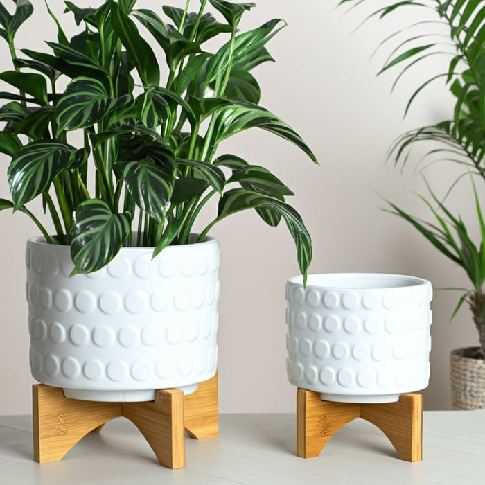 ceramic-s-2-5-8-planter-on-wooden-stand-white-6