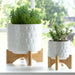ceramic-s-2-5-8-planter-on-wooden-stand-white-7