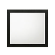chelsie-black-mirror-2