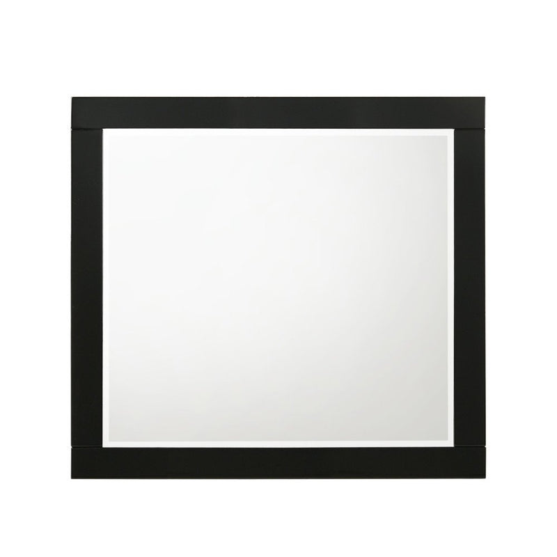 chelsie-black-mirror-2