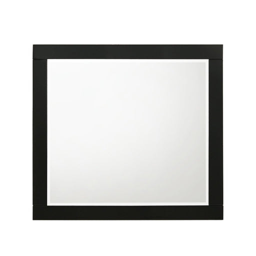 chelsie-black-mirror-2