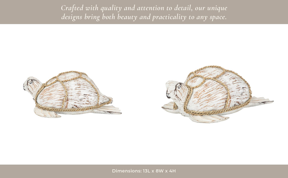 coconut-12-l-turtle-white-brown-12