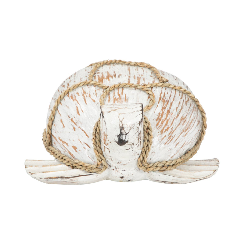 coconut-12-l-turtle-white-brown-3