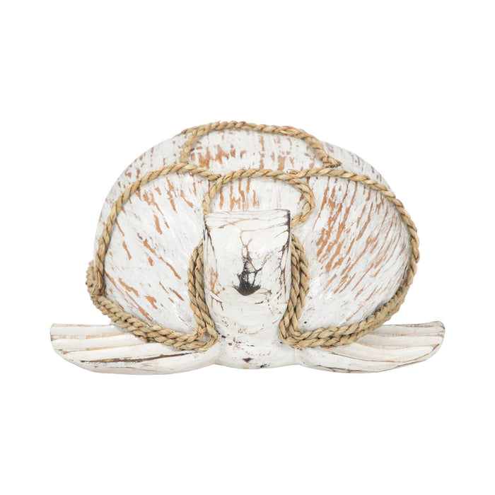 coconut-12-l-turtle-white-brown-3