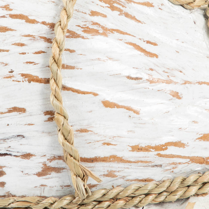 coconut-12-l-turtle-white-brown-5