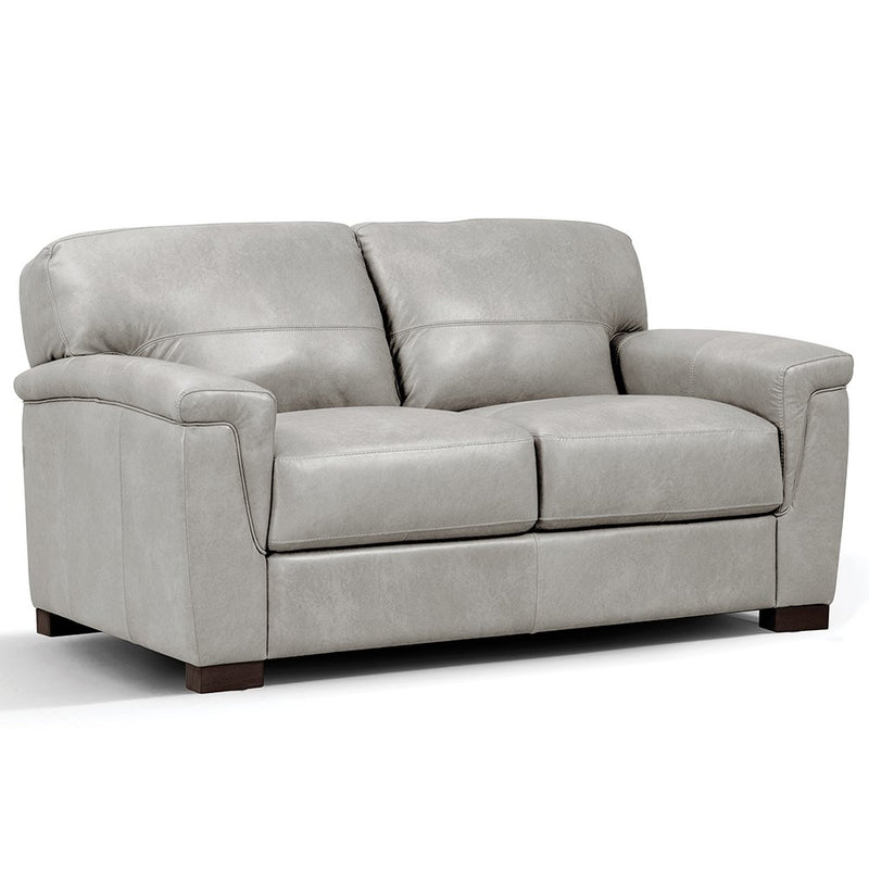 cornelia-pearl-gray-top-grain-leather-loveseat-4