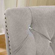 diocles-side-chair-2-ctn-2