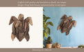 driftwood-12-h-turtle-deco-natural-10
