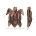 driftwood-12-h-turtle-deco-natural-7