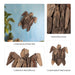 driftwood-12-h-turtle-deco-natural-8