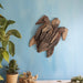 driftwood-12-h-turtle-deco-natural-9