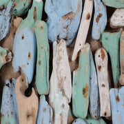 driftwood-13-l-multicolored-turtle-4