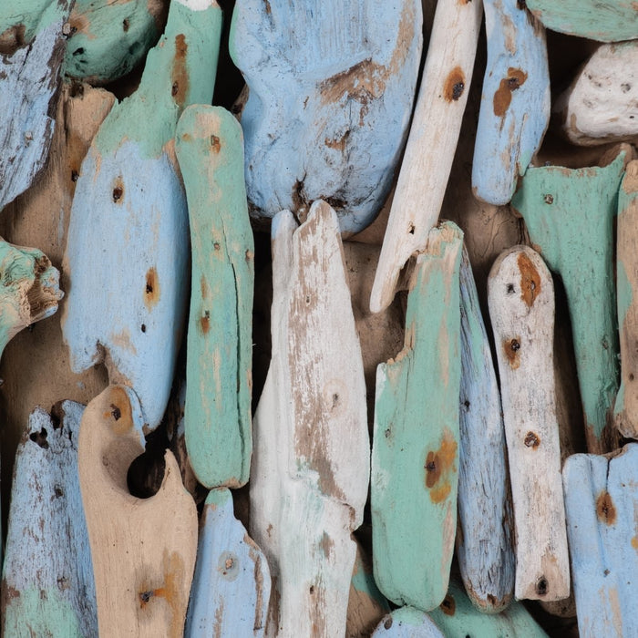 driftwood-13-l-multicolored-turtle-4