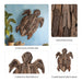 driftwood-22-h-turtle-deco-natural-8