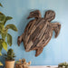 driftwood-22-h-turtle-deco-natural-9