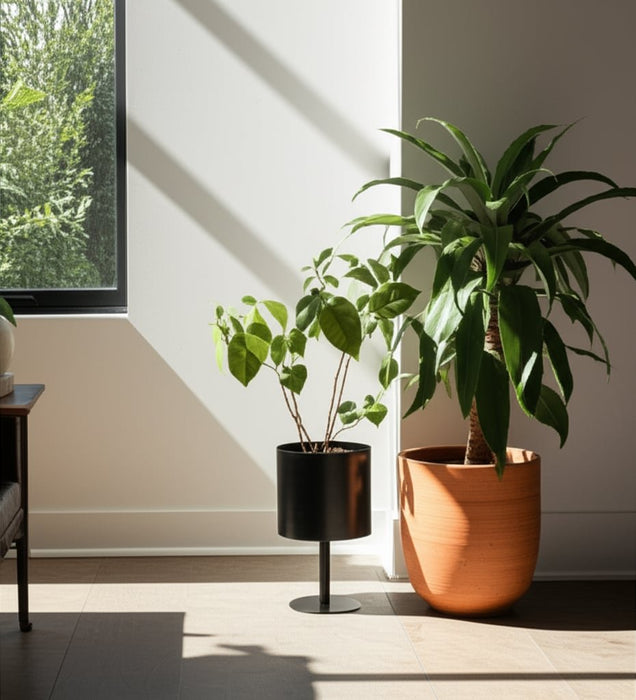 ec-metal-8-flat-round-base-planter-black-10