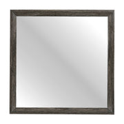 edina-mirror-1