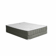 edrea-10-tight-top-pocket-coil-queen-1