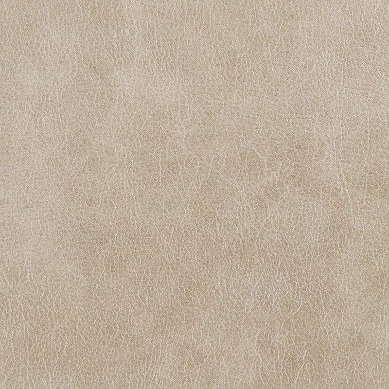 elison-dark-beige-polished-microfiber-motion-sofa-8