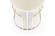 emrald-gold-legs-beige-2-chairs-per-box-7