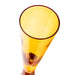 flute-amber-champagne-glasses-set-of-4-4