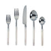 frose-silver-stainless-steel-flatware-set-of-5-pieces-service-for-1-1