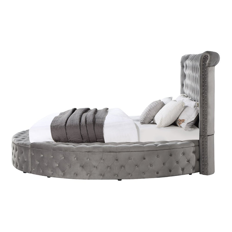 gaiva-gray-velvet-queen-bed-w-storage-4