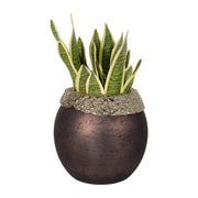 glass-10-oval-hurricane-charred-coal-gold-4