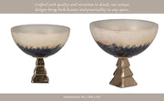 glass-11-bowl-w-stand-2-tone-white-13